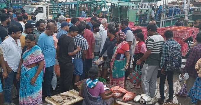 காசிமேட்டில் மீன்களின் விலை உயர்வு.. 