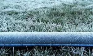 கொடைக்கானல் உறைபனி